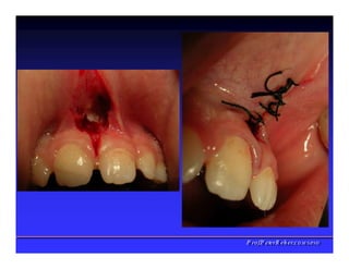 PPrrooff..PPeetteerrRReehheerr,,C
C
D
D
,
,
M
M
S
S
c
c
,
,
P
P
h
h
D
D
 