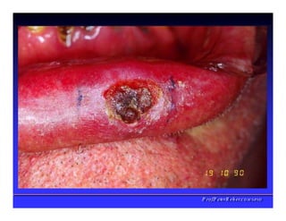 PPrrooff..PPeetteerrRReehheerr,,C
C
D
D
,
,
M
M
S
S
c
c
,
,
P
P
h
h
D
D
 