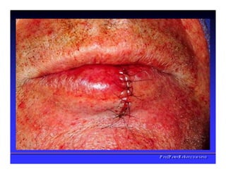 PPrrooff..PPeetteerrRReehheerr,,C
C
D
D
,
,
M
M
S
S
c
c
,
,
P
P
h
h
D
D
 