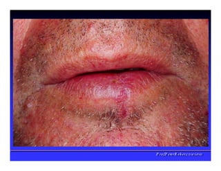 PPrrooff..PPeetteerrRReehheerr,,C
C
D
D
,
,
M
M
S
S
c
c
,
,
P
P
h
h
D
D
 