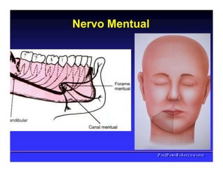 Nervo Mentual
PPrrooff..PPeetteerrRReehheerr,,C
C
D
D
,
,
M
M
S
S
c
c
,
,
P
P
h
h
D
D
 