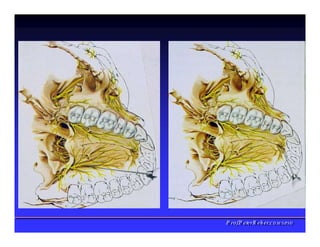 PPrrooff..PPeetteerrRReehheerr,,C
C
D
D
,
,
M
M
S
S
c
c
,
,
P
P
h
h
D
D
 