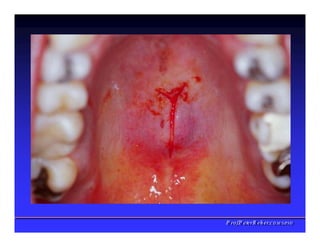 PPrrooff..PPeetteerrRReehheerr,,C
C
D
D
,
,
M
M
S
S
c
c
,
,
P
P
h
h
D
D
 