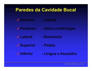 Paredes da Cavidade Bucal
PPrrooff..PPeetteerrRReehheerr,,C
C
D
D
,
,
M
M
S
S
c
c
,
,
P
P
h
h
D
D
✓Anterior - Lábios
✓Posterior - Istmo orofaríngeo
✓Lateral - Bochecha
✓Superior - Palato
✓Inferior - Língua e Assoalho
 