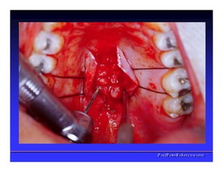 PPrrooff..PPeetteerrRReehheerr,,C
C
D
D
,
,
M
M
S
S
c
c
,
,
P
P
h
h
D
D
 