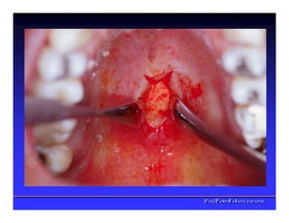 PPrrooff..PPeetteerrRReehheerr,,C
C
D
D
,
,
M
M
S
S
c
c
,
,
P
P
h
h
D
D
 