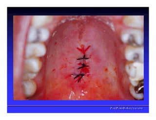 PPrrooff..PPeetteerrRReehheerr,,C
C
D
D
,
,
M
M
S
S
c
c
,
,
P
P
h
h
D
D
 