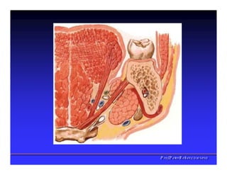 PPrrooff..PPeetteerrRReehheerr,,C
C
D
D
,
,
M
M
S
S
c
c
,
,
P
P
h
h
D
D
 