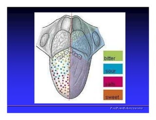 PPrrooff..PPeetteerrRReehheerr,,C
C
D
D
,
,
M
M
S
S
c
c
,
,
P
P
h
h
D
D
 