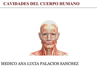 CAVIDADES DEL CUERPO HUMANO
MEDICO ANA LUCIA PALACIOS SANCHEZ
 