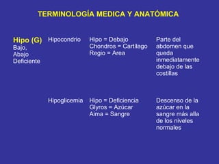 TERMINOLOGÍA MEDICA Y ANATÓMICA


Hipo (G) Hipocondrio        Hipo = Debajo          Parte del
Bajo,                      ...