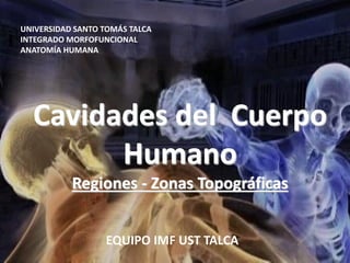 EQUIPO IMF UST TALCA
UNIVERSIDAD SANTO TOMÁS TALCA
INTEGRADO MORFOFUNCIONAL
ANATOMÍA HUMANA
Cavidades del Cuerpo
Humano
Regiones - Zonas Topográficas
 
