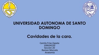UNIVERSIDAD AUTONOMA DE SANTO
DOMINGO
Cavidades de la cara.
Camila Frías Zapata
100634220
Sección 20
Ramon Morcelo
Anatomía
 