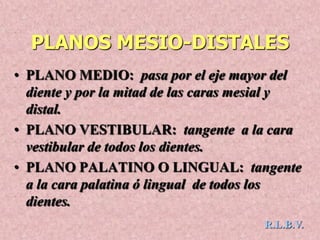 PLANOS MESIO-DISTALES
• PLANO MEDIO: pasa por el eje mayor del
diente y por la mitad de las caras mesial y
distal.
• PLANO VESTIBULAR: tangente a la cara
vestibular de todos los dientes.
• PLANO PALATINO O LINGUAL: tangente
a la cara palatina ó lingual de todos los
dientes.
R.L.B.V.
 