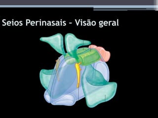 Seios Perinasais – Visão geral
 