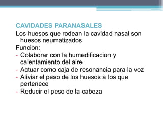 PARED LATERAL*proceso frontal del hueso maxilar*el hueso lagrimal*la masa lateral del etmoides con sus cornetes**hueso y apofisispalatino(piso)Nota: hueso palatino      el cpo. del esfenoidesorificio esfenopalatino(a traves del cual ingresan a  la cavidad nasal vasos y nervios).