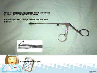 ETTIANA DINAS IQ USC
Pinza de Stramber retrógrada hacia la derecha
y atrás , hacia la izquierda y atrás
Utilizada para el drenaje del Ostium del Seno
Maxilar
 