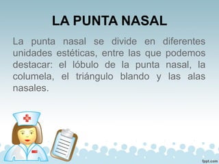 LA PUNTA NASAL
La punta nasal se divide en diferentes
unidades estéticas, entre las que podemos
destacar: el lóbulo de la punta nasal, la
columela, el triángulo blando y las alas
nasales.
 