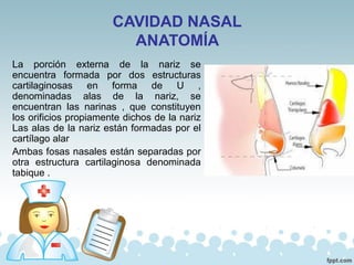 CAVIDAD NASAL
ANATOMÍA
La porción externa de la nariz se
encuentra formada por dos estructuras
cartilaginosas en forma de U ,
denominadas alas de la nariz, se
encuentran las narinas , que constituyen
los orificios propiamente dichos de la nariz
Las alas de la nariz están formadas por el
cartílago alar
Ambas fosas nasales están separadas por
otra estructura cartilaginosa denominada
tabique .
 