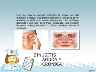 SINUSITIS
AGUDA Y
CRONICA
• Hay dos tipos de sinusitis: infección de senos de corta
duración o aguda, que puede producirse después de un
resfriado o debido a contaminantes en el ambiente;
asociada a una falta de drenaje adecuado, una infección
de senos de larga duración o crónica, que dura más de 12
semanas.
 