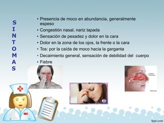 • Presencia de moco en abundancia, generalmente
espeso
• Congestión nasal, nariz tapada
• Sensación de pesadez y dolor en la cara
• Dolor en la zona de los ojos, la frente o la cara
• Tos: por la caída de moco hacia la garganta
• Decaimiento general, sensación de debilidad del cuerpo
• Fiebre
S
I
N
T
O
M
A
S
 