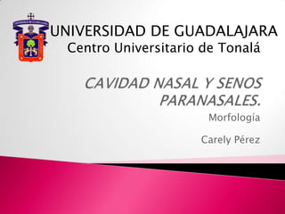 UNIVERSIDAD DE GUADALAJARA
 Centro Universitario de Tonalá




                      Morfología

                     Carely Pérez
 