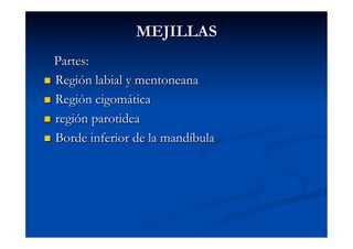 MEJILLAS
   Partes:
  Región labial y mentoneana

  Región cigomática

  región parotidea

  Borde inferior de la mandíbula
 