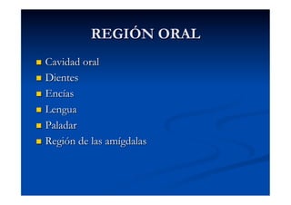 REGIÓN ORAL
  Cavidad oral
  Dientes

  Encías

  Lengua

  Paladar

  Región de las amígdalas
 