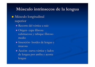 Músculo intrínsecos de la lengua
    Músculo longitudinal
     superior
       Recorre del vértice a raíz
       Origen- capa fibrosa
        submucosa y tabique fibroso
        medio
       Inserción- bordes de lengua y
        mucosa
       Acción- curva vértice y lados
        de lengua por arriba y acorta
        lengua
 