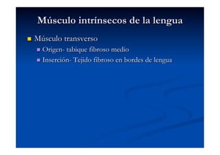 Músculo intrínsecos de la lengua
    Músculo transverso
       Origen- tabique fibroso medio
       Inserción- Tejido fibroso en bordes de lengua
 