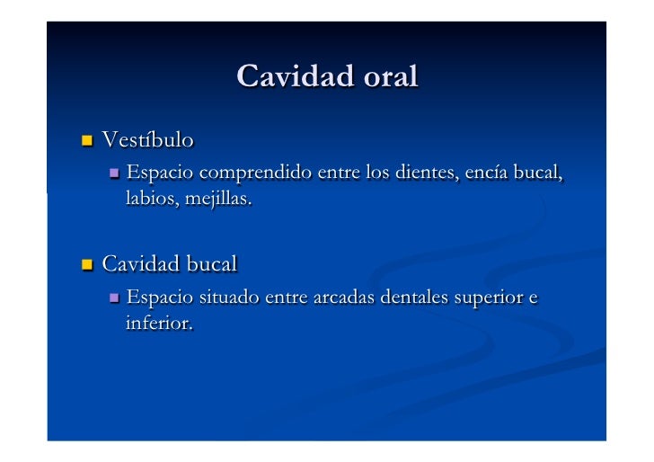 vestibulo y cavidad bucal cavidad oral vestibulo y cavidad bucal cavidad oral