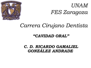 UNAM
FES Zaragoza
Carrera Cirujano Dentista
“CAVIDAD ORAL”
C. D. RICARDO GAMALIEL
GONZÁLEZ ANDRADE
 