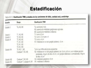 Estadificación
 