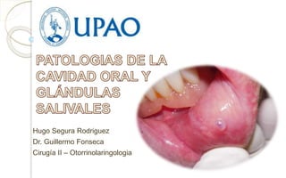 Hugo Segura Rodriguez 
Dr. Guillermo Fonseca 
Cirugía II – Otorrinolaringologia 
 