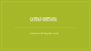 CAVIDAD ORBITARIA
Anatomía delAparato visual
 
