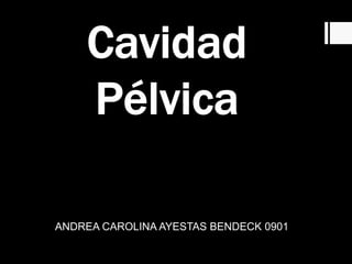 ANDREA CAROLINA AYESTAS BENDECK 0901
 