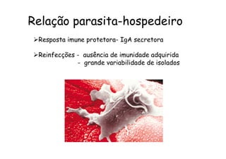 Relação parasita-hospedeiro
Ø Resposta imune protetora- IgA secretora
Ø Reinfecções - ausência de imunidade adquirida
- grande variabilidade de isolados
 