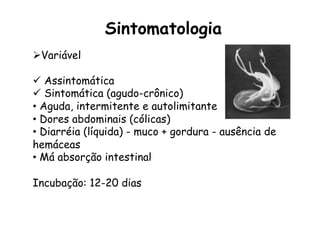 Sintomatologia	
  
Ø Variável
ü  Assintomática
ü  Sintomática (agudo-crônico)
•  Aguda, intermitente e autolimitante
•  Dores abdominais (cólicas)
•  Diarréia (líquida) - muco + gordura - ausência de
hemáceas
•  Má absorção intestinal
Incubação: 12-20 dias
 