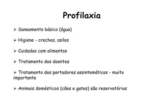 Profilaxia
Ø  Saneamento básico (água)
Ø  Higiene - creches, asilos
Ø  Cuidados com alimentos
Ø  Tratamento dos doentes
Ø  Tratamento dos portadores assintomáticos - muito
importante
Ø  Animais domésticos (cães e gatos) são reservatórios
 