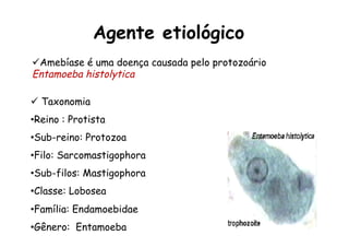 Agente etiológico
ü  Taxonomia
• Reino : Protista
• Sub-reino: Protozoa
• Filo: Sarcomastigophora
• Sub-filos: Mastigophora
• Classe: Lobosea
• Família: Endamoebidae
• Gênero: Entamoeba
ü Amebíase é uma doença causada pelo protozoário
Entamoeba histolytica
 