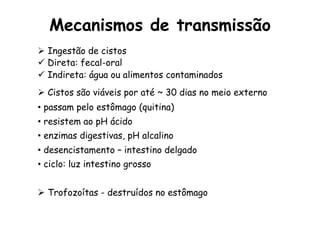 Ø  Ingestão de cistos
ü  Direta: fecal-oral
ü  Indireta: água ou alimentos contaminados
Ø  Cistos são viáveis por até ~ 30 dias no meio externo
•  passam pelo estômago (quitina)
•  resistem ao pH ácido
•  enzimas digestivas, pH alcalino
•  desencistamento – intestino delgado
•  ciclo: luz intestino grosso
Ø  Trofozoítas - destruídos no estômago
Mecanismos de transmissão
 