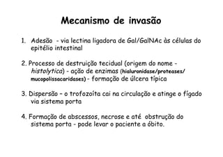 Mecanismo de invasão
1.  Adesão - via lectina ligadora de Gal/GalNAc às células do
epitélio intestinal
2. Processo de destruição tecidual (origem do nome -
histolytica) - ação de enzimas (hialuronidase/proteases/
mucopolissacaridases) - formação de úlcera típica
3. Dispersão – o trofozoíta cai na circulação e atinge o fígado
via sistema porta
4. Formação de abscessos, necrose e até obstrução do
sistema porta - pode levar o paciente a óbito.
 