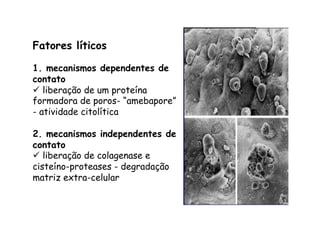 Fatores líticos
1. mecanismos dependentes de
contato
ü  liberação de um proteína
formadora de poros- “amebapore”
- atividade citolítica
2. mecanismos independentes de
contato
ü  liberação de colagenase e
cisteíno-proteases - degradação
matriz extra-celular
 
