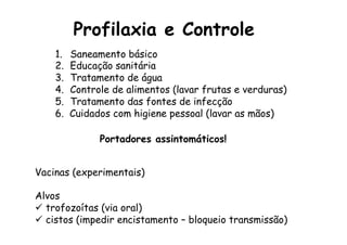 Profilaxia e Controle
Vacinas (experimentais)
Alvos
ü  trofozoítas (via oral)
ü  cistos (impedir encistamento – bloqueio transmissão)
Portadores assintomáticos!
1.  Saneamento básico
2.  Educação sanitária
3.  Tratamento de água
4.  Controle de alimentos (lavar frutas e verduras)
5.  Tratamento das fontes de infecção
6. Cuidados com higiene pessoal (lavar as mãos)
 