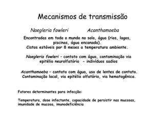 Mecanismos de transmissão
AcanthamoebaNaegleria fowleri
Encontradas em todo o mundo no solo, água (rios, lagos,
piscinas, água encanada).
Cistos estáveis por 8 meses a temperatura ambiente.
Naegleria fowleri – contato com água, contaminação via
epitélio neurolfatório - indivíduos sadios
Acanthamoeba – contato com água, uso de lentes de contato.
Contaminação local, via epitélio olfatório, via hematogênica.
Fatores determinantes para infecção:
Temperatura, dose infectante, capacidade de persistir nas mucosas,
imunidade de mucosa, imunodeficiência
 