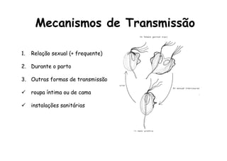 1.  Relação sexual (+ frequente)
2.  Durante o parto
3.  Outras formas de transmissão
ü  roupa íntima ou de cama
ü  instalações sanitárias
Mecanismos de Transmissão
 