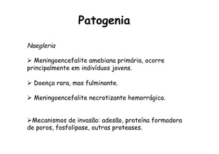 Patogenia
Naegleria
Ø  Meningoencefalite amebiana primária, ocorre
principalmente em indivíduos jovens.
Ø  Doença rara, mas fulminante.
Ø  Meningoencefalite necrotizante hemorrágica.
Ø Mecanismos de invasão: adesão, proteína formadora
de poros, fosfolipase, outras proteases.
 