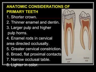 ANATOMIC CONSIDERATIONS OF
PRIMARY TEETH
1. Shorter crown.
2. Thinner enamel and dentin.
3. Larger pulp and higher
pulp horns.
4. Enamel rods in cervical
area directed occlusally.
5. Greater cervical constriction.
6. Broad, flat proximal contacts.
7. Narrow occlusal table.
8. Lighter in color.
 