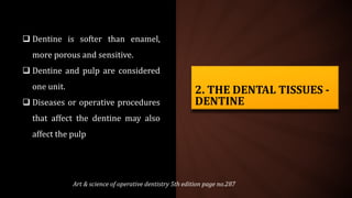 2. THE DENTAL TISSUES -
DENTINE
 Dentine is softer than enamel,
more porous and sensitive.
 Dentine and pulp are considered
one unit.
 Diseases or operative procedures
that affect the dentine may also
affect the pulp
Art & science of operative dentistry 5th edition page no.287
 