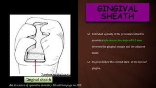  Extended apically of the proximal contact to
provide a minimum clearance of 0.5 mm
between the gingival margin and the adjacent
tooth.
 Its given below the contact area ; at the level of
gingiva.
GINGIVAL
SHEATH
Art & science of operative dentistry 5th edition page no.305
Gingival sheath
 